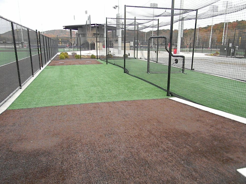 Atlanta artificial turf batting cage